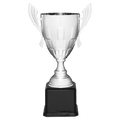 Silver Completed Metal Cup Trophy on Black Royal 22" Piano Finish Base