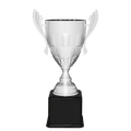 Silver Completed Metal Cup Trophy on Black Royal 24 3/4" Piano Finish Base