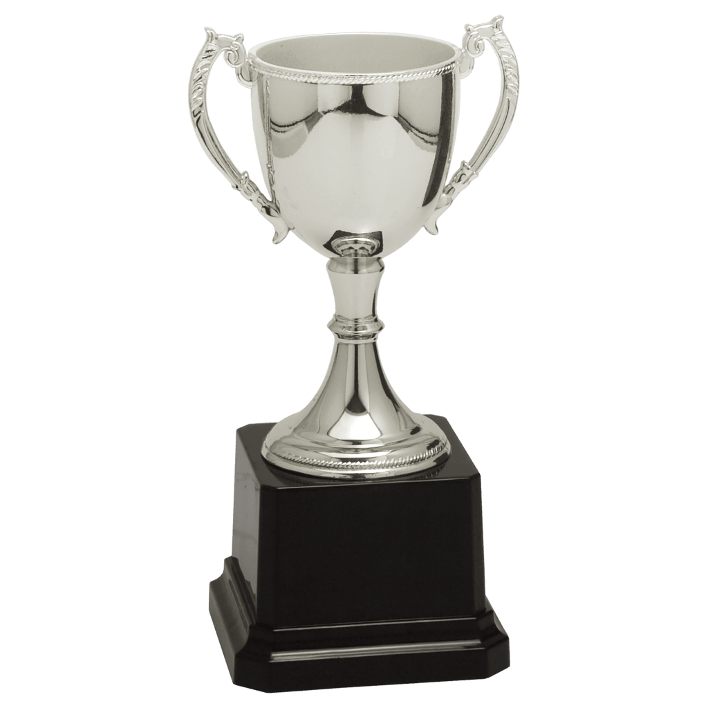 Silver 6 3/4" Completed Zinc Cup Trophy